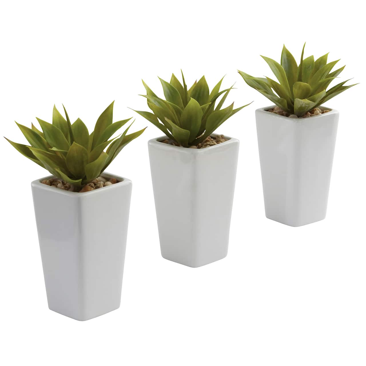 9" Mini Agave Arrangement in White Planter, 3ct.
